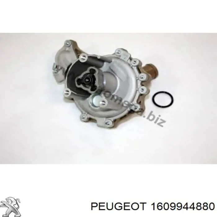 Помпа водяна, корпус Peugeot/Citroen 1609944880 ціна, від 81.06 USD