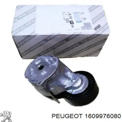  Peugeot/Citroen 1609976080 ціна, від 3.67 USD