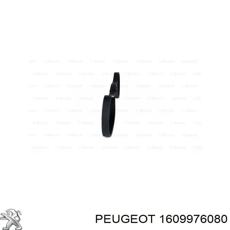 Купити 1609976080 Peugeot/Citroen 