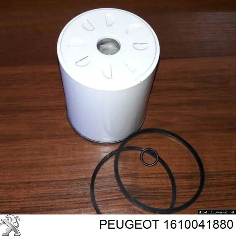 Купити 1610041880 Peugeot/Citroen 