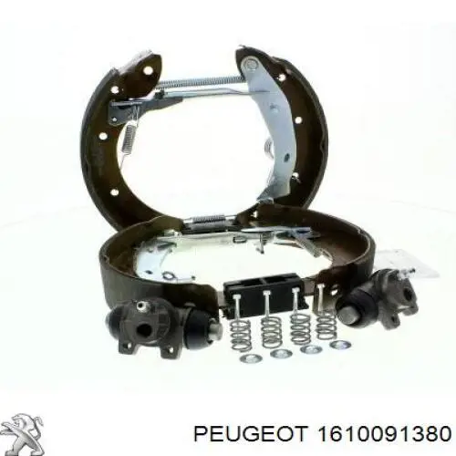 Peugeot/Citroen 1610091380