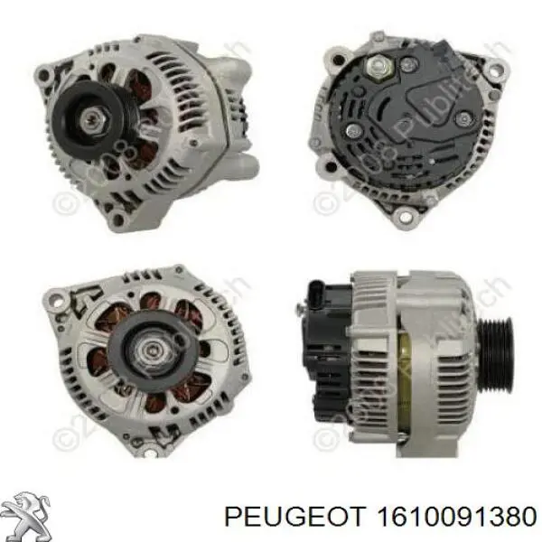 1610091380 Peugeot/Citroen 
