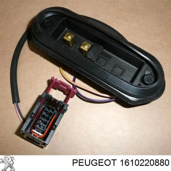 1610220880 Peugeot/Citroen датчик закривання дверей (кінцевий вимикач)