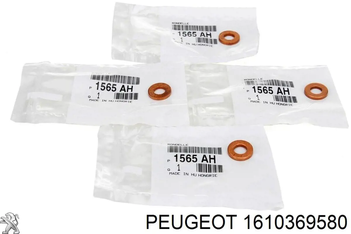 Болт кріплення форсунки 1610369580 Peugeot/Citroen