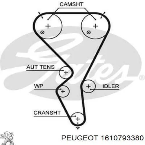 Комплект ГРМ 1610793380 Peugeot/Citroen