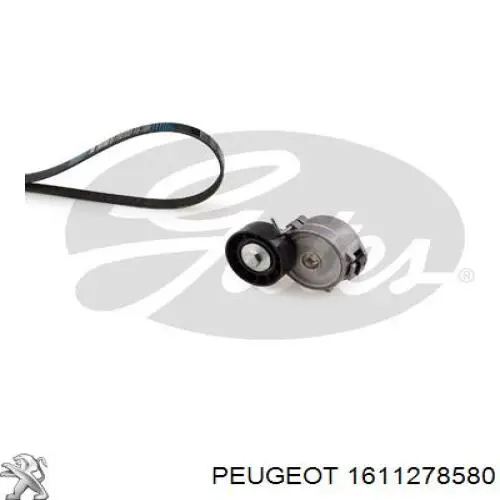Ремінь приводний, агрегатів, комплект Peugeot/Citroen 1611278580 ціна, від 47.66 USD