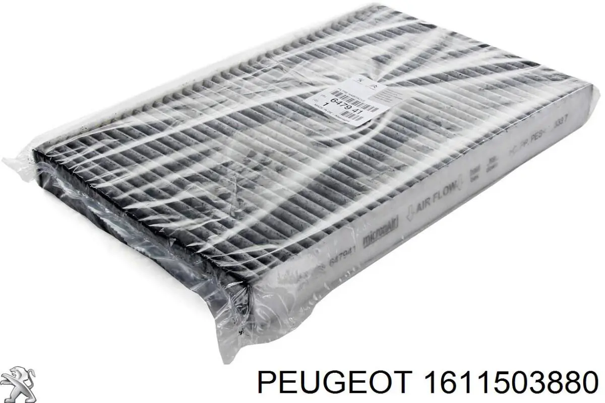 Ремінь приводний, агрегатів, комплект Peugeot/Citroen 1611503880