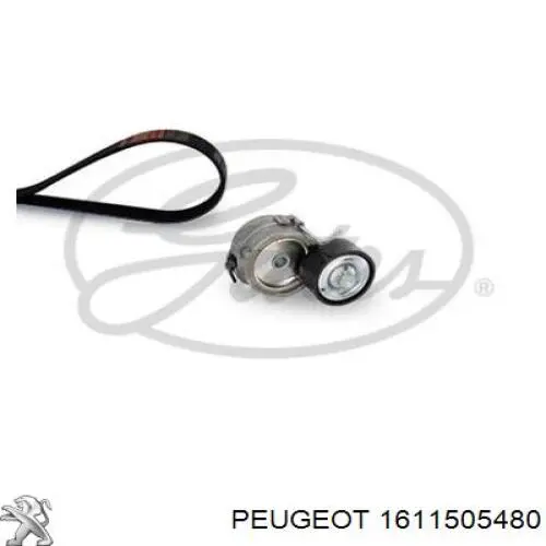 Ремінь приводний, агрегатів, комплект Peugeot/Citroen 1611505480 ціна, від 48.38 USD