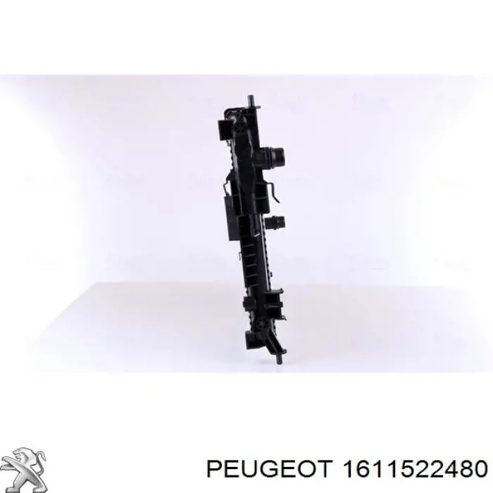1611522480 Peugeot/Citroen 