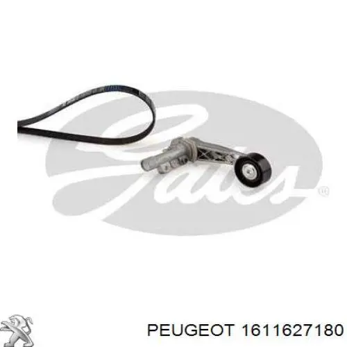 1611627180 Peugeot/Citroen Ремінь приводний, агрегатів, комплект
