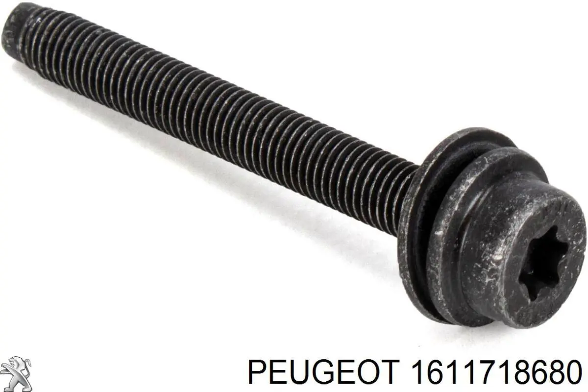 Форсунки (ремкомплект) Peugeot/Citroen 1611718680 ціна, від 22.50 USD