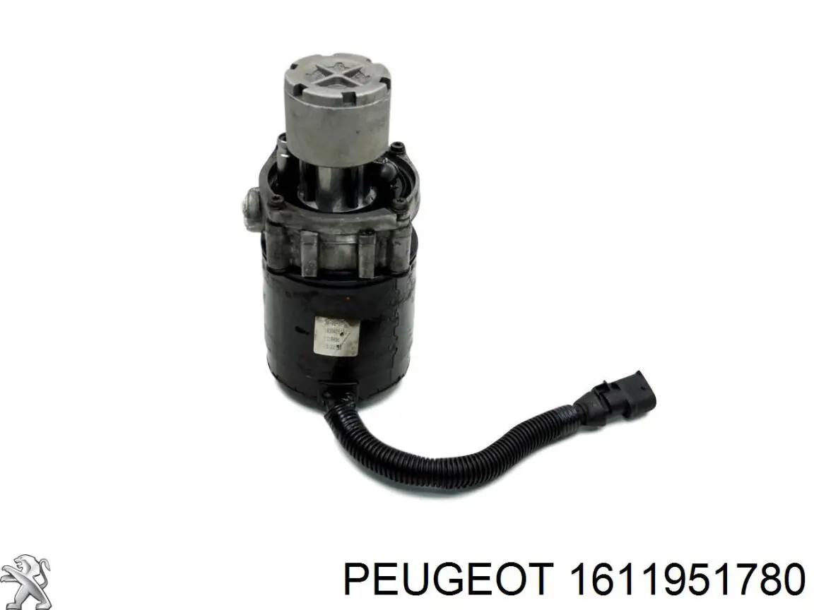 1611951780 Peugeot/Citroen 