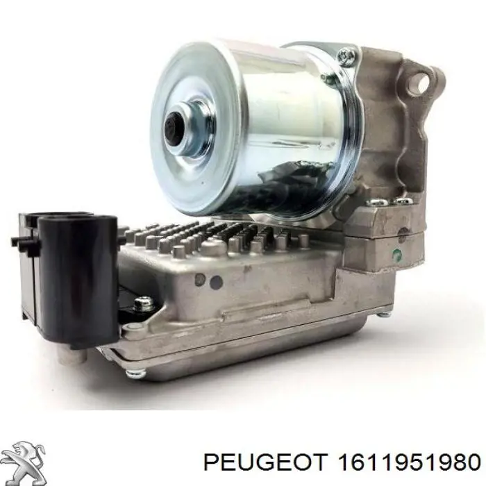 1611951980 Peugeot/Citroen 