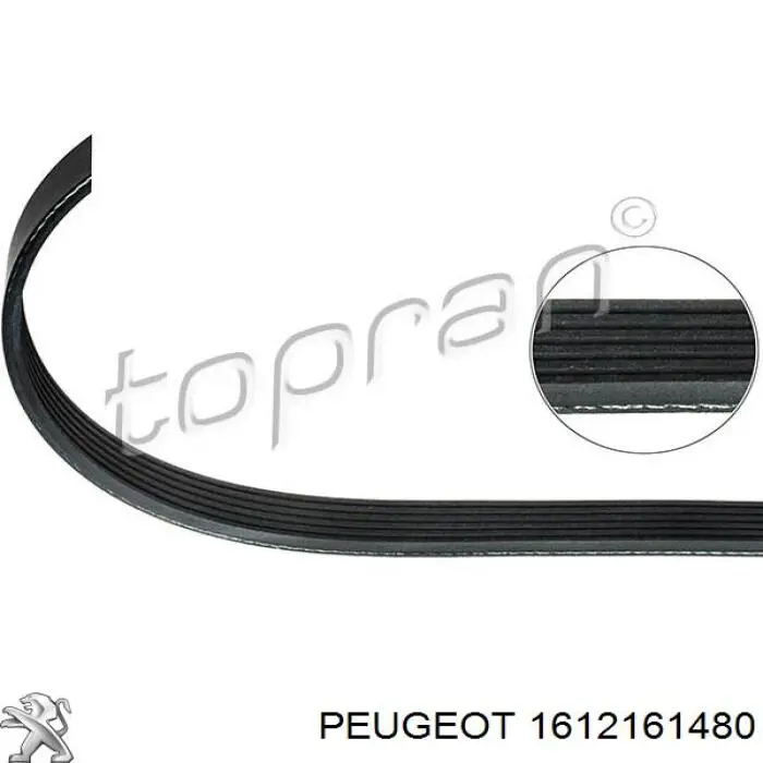 1612161480 Peugeot/Citroen ремінь приводний, агрегатів