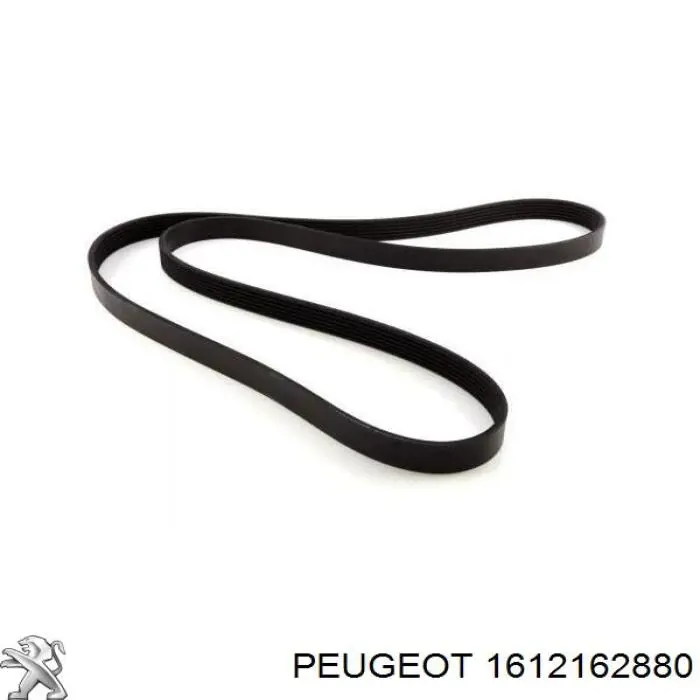 Клиновий ремінь Peugeot/Citroen 1612162880 ціна, від 12.67 USD