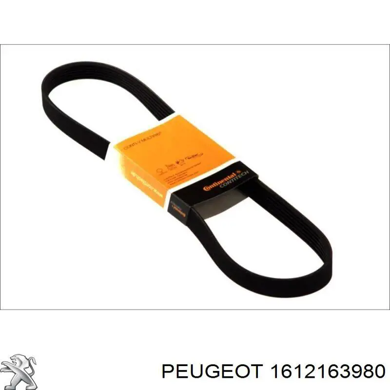 Клиновий ремінь Peugeot/Citroen 1612163980 ціна, від 13.75 USD