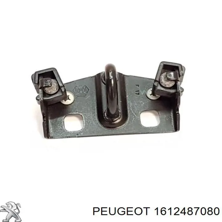1612487080 Peugeot/Citroen 