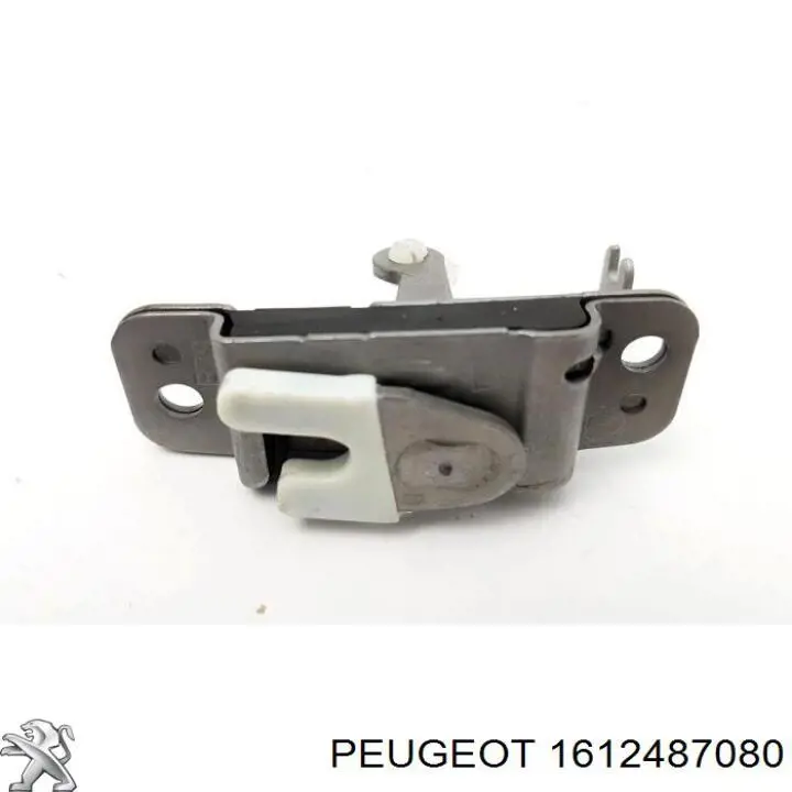 Купити 1612487080 Peugeot/Citroen 