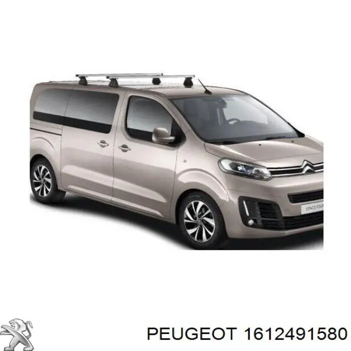  1612491580 Peugeot/Citroen