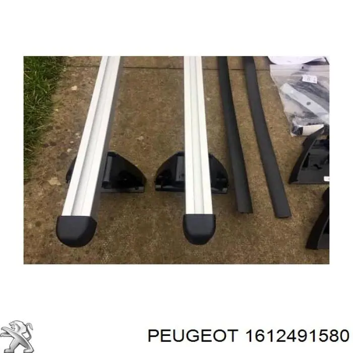 1612491580 Peugeot/Citroen