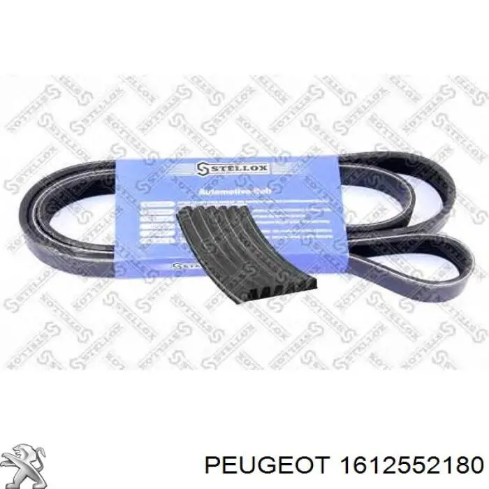 Ремінь генератора 1612552180 Peugeot/Citroen