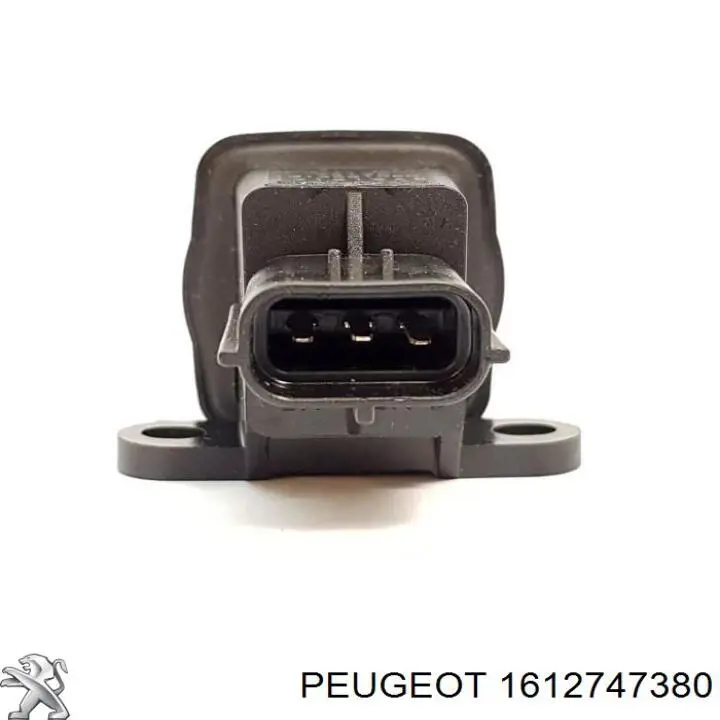 1612747380 Peugeot/Citroen Бак паливний