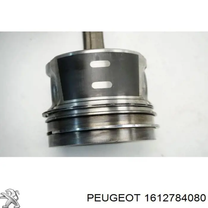  1612784080 Peugeot/Citroen