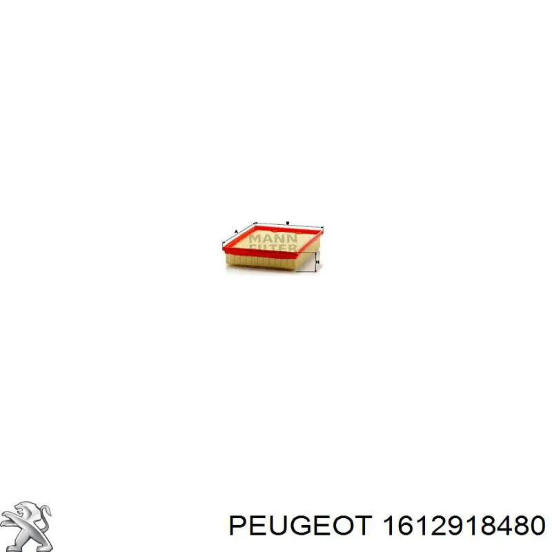 1612918480 Peugeot/Citroen фільтр салону