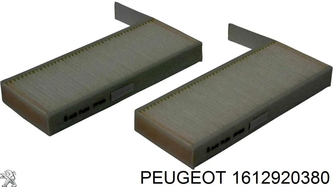 1612920380 Peugeot/Citroen Внутрішньосалонний фільтр