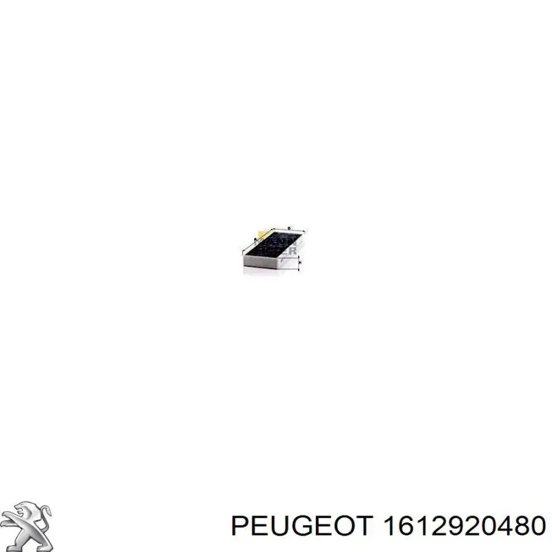 Купити 1612920480 Peugeot/Citroen Фільтр салону вугільний