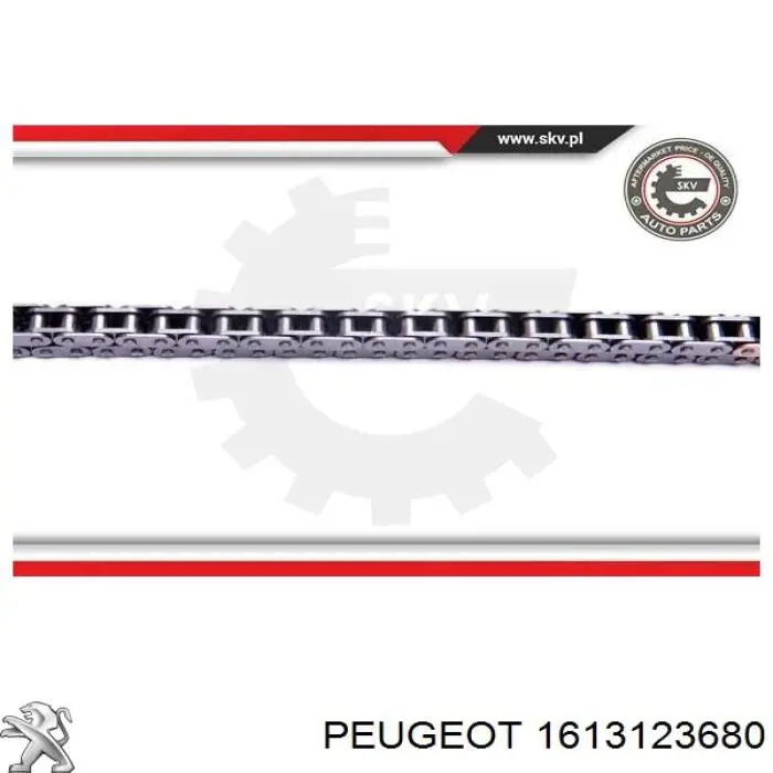 Купити 1613123680 Peugeot/Citroen 