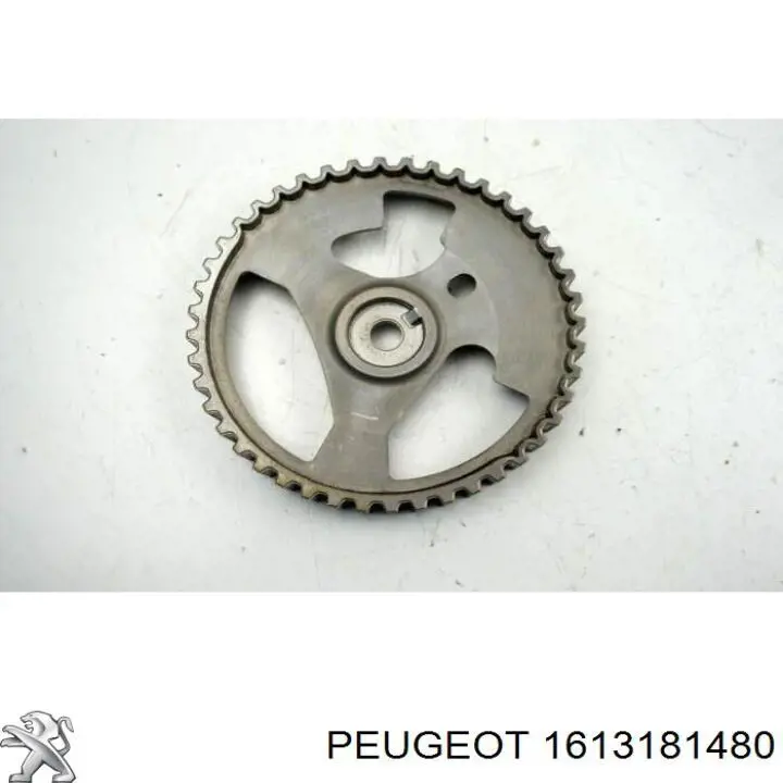 Шестерня розподільного валу 1613181480 Peugeot/Citroen