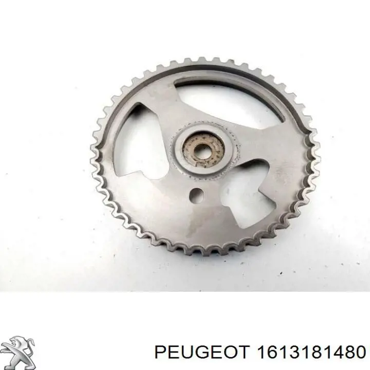 Шестерня розподільного валу 1613181480 Peugeot/Citroen