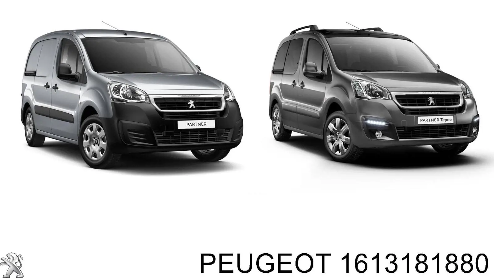  1613181880 Peugeot/Citroen