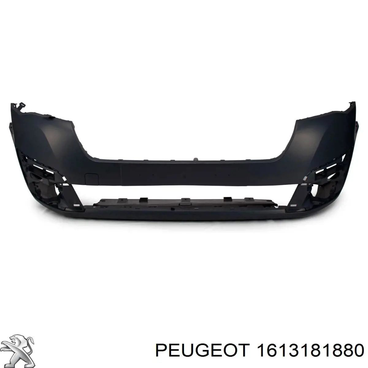 1613181880 Peugeot/Citroen 