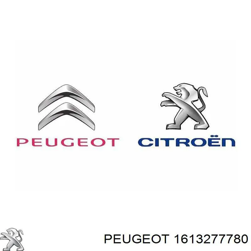 1613277780 Peugeot/Citroen Накладка задніх 3-х/5-х дверей