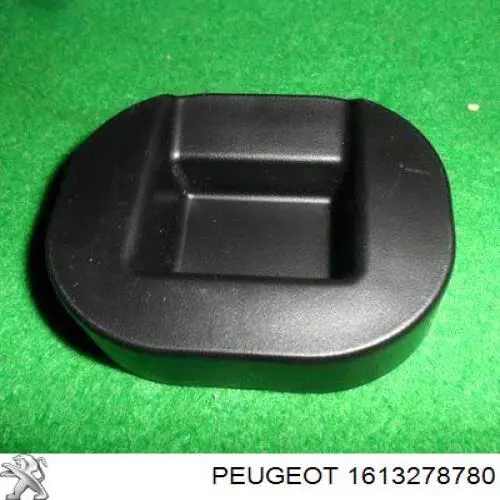 1613278780 Peugeot/Citroen 