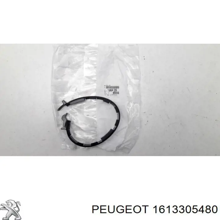 1613305480 Peugeot/Citroen 