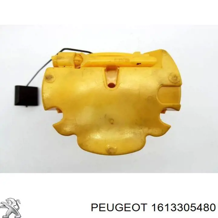 1613305480 Peugeot/Citroen