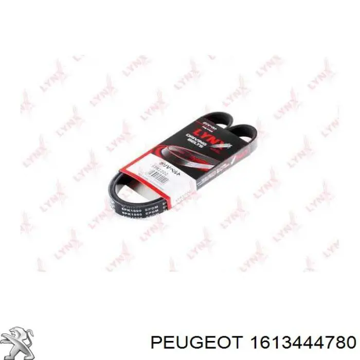 Купити 1613444780 Peugeot/Citroen Ремінь приводний, агрегатів, комплект