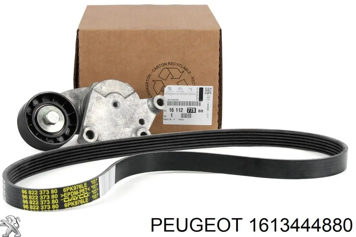 1613444880 Peugeot/Citroen Ремінь приводний, агрегатів, комплект
