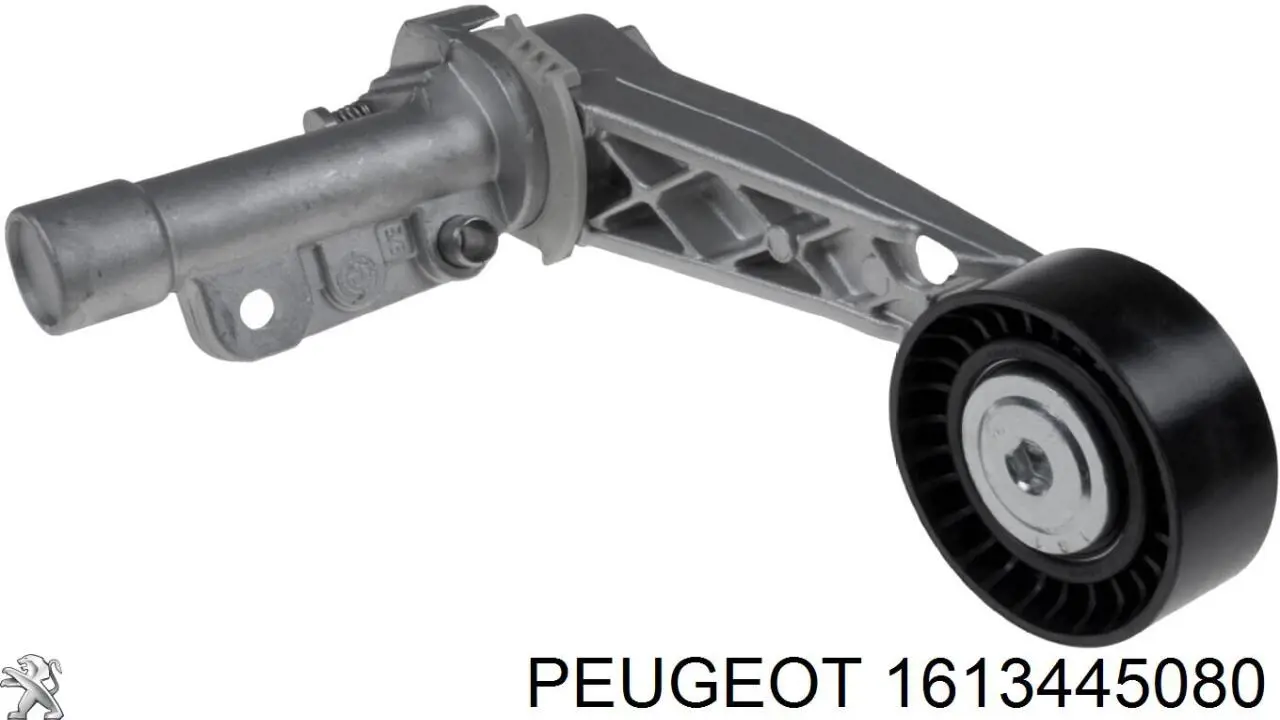 Купити 1613445080 Peugeot/Citroen Ремінь приводний, агрегатів, комплект