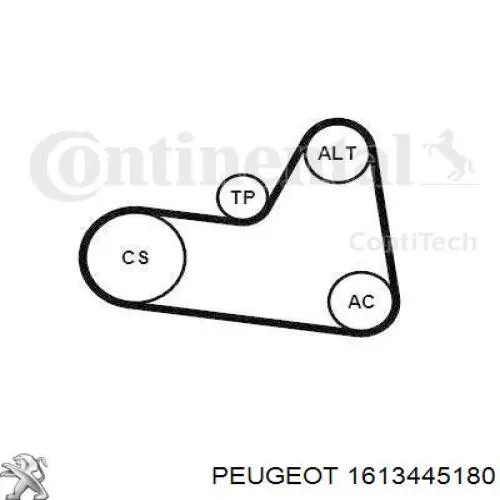 Купити 1613445180 Peugeot/Citroen Ремінь приводний, агрегатів, комплект
