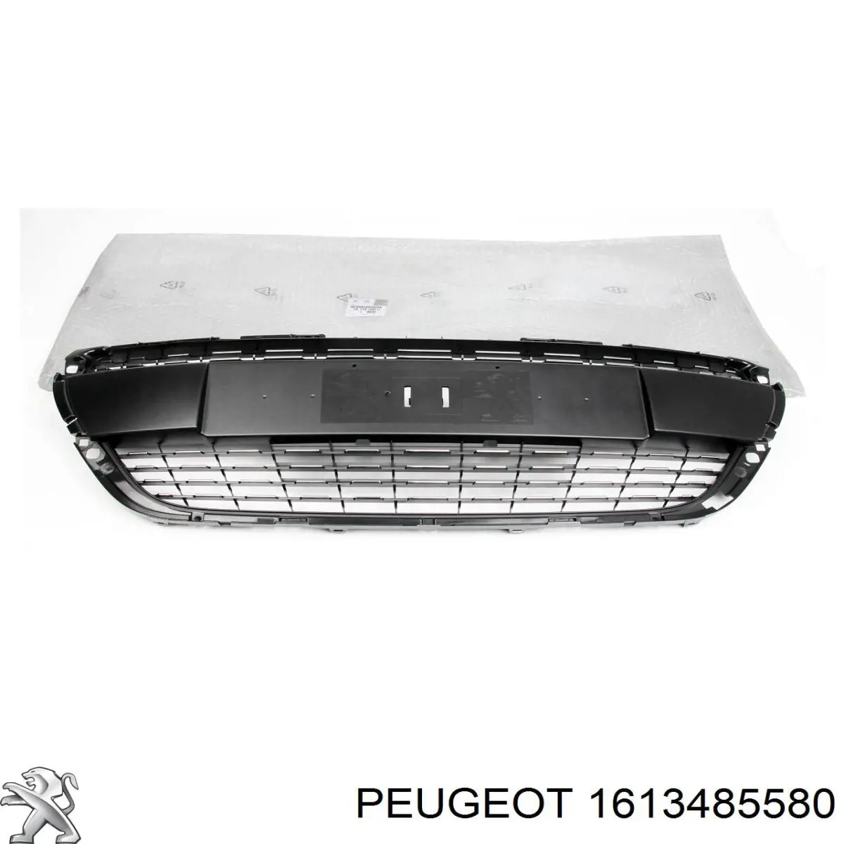  1613485580 Peugeot/Citroen