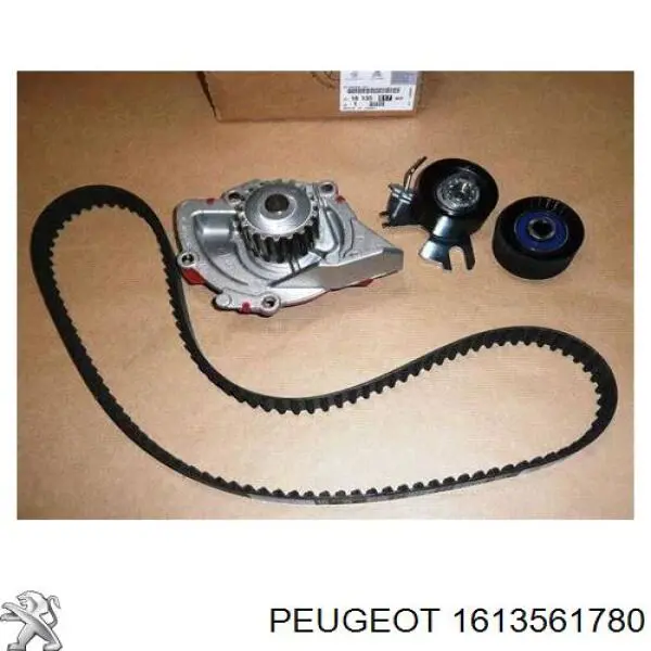 1613561780 Peugeot/Citroen комплект грм