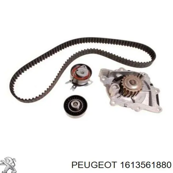 1613561880 Peugeot/Citroen Ремінь ГРМ, комплект
