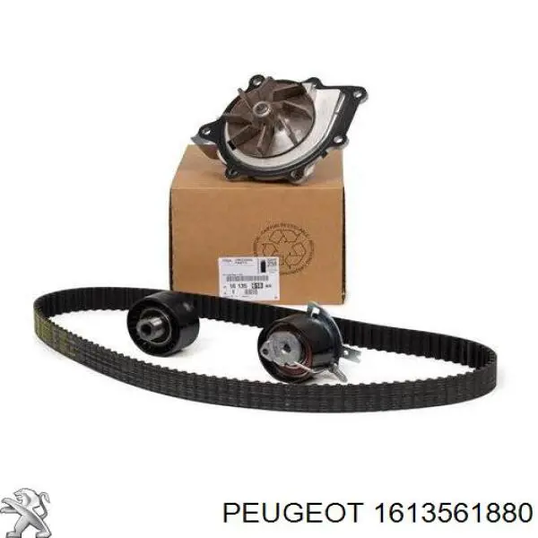 1613561880 Peugeot/Citroen комплект грм