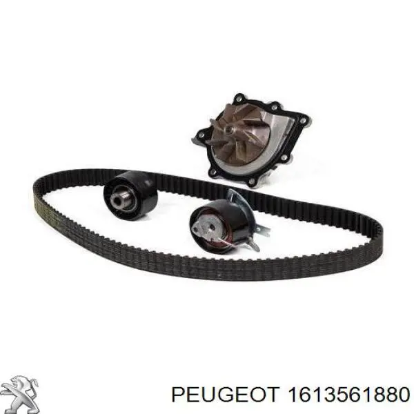Купити 1613561880 Peugeot/Citroen ГРМ ремень