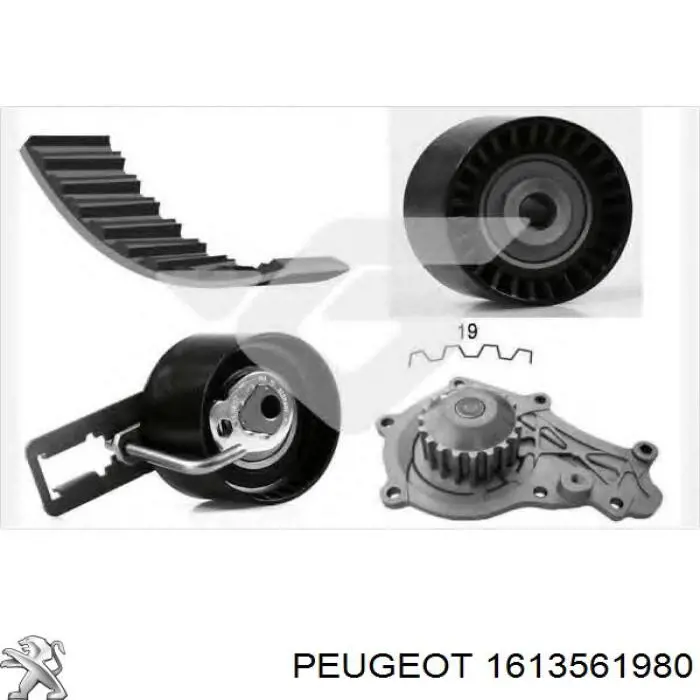 Ремкомплект ГРМ Peugeot/Citroen 1613561980