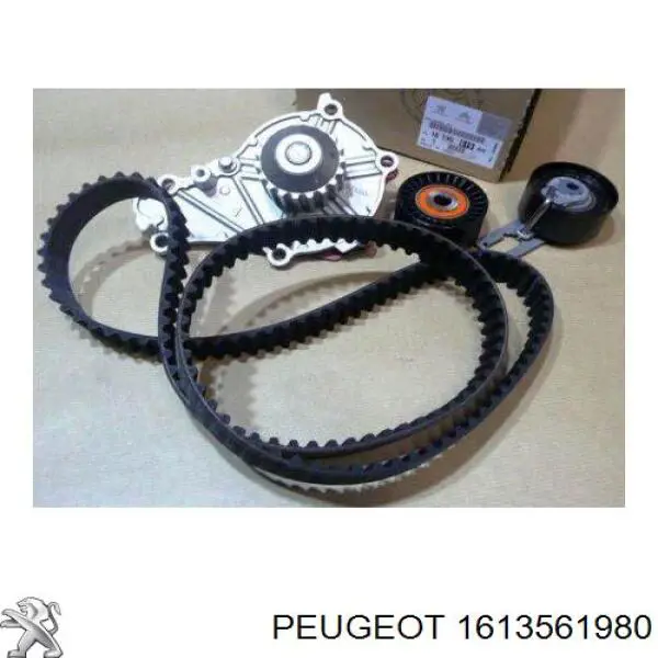 1613561980 Peugeot/Citroen Ремінь ГРМ, комплект